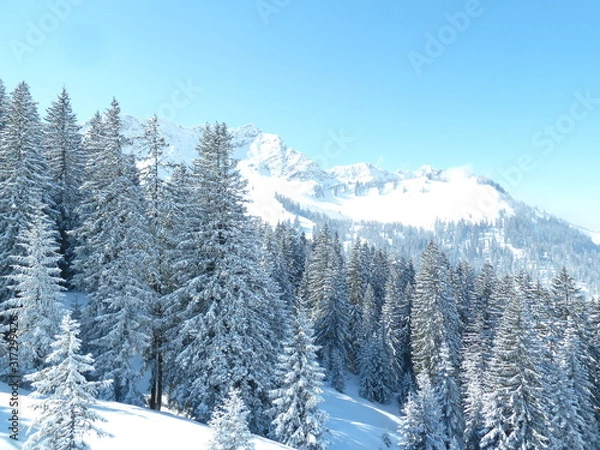 Obraz Schnee im Gebirge