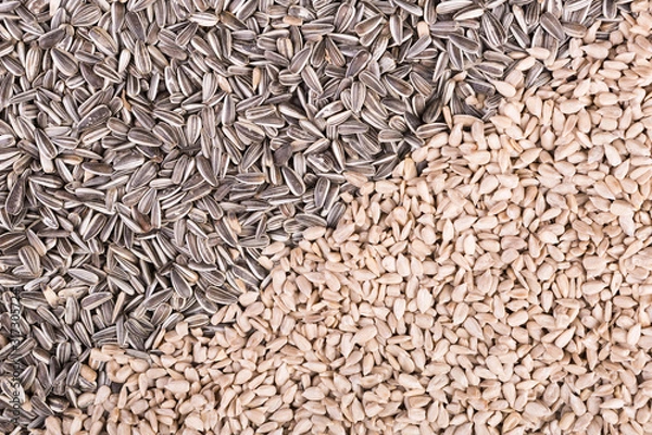 Obraz Sonnenblumenkerne geschält und ungeschält, diagonal angeordnet,