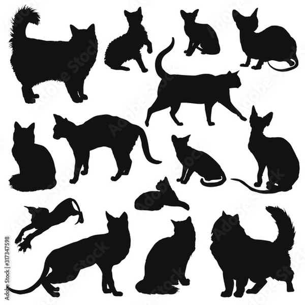 Fototapeta Cats silhouettes set. Vector illustration