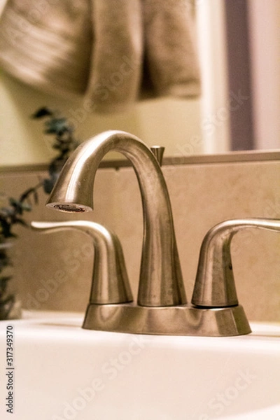 Fototapeta Chrome bathroom sink with eucalyptus and mirror behind