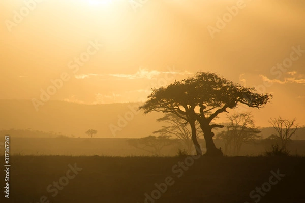 Obraz tramonto in africa