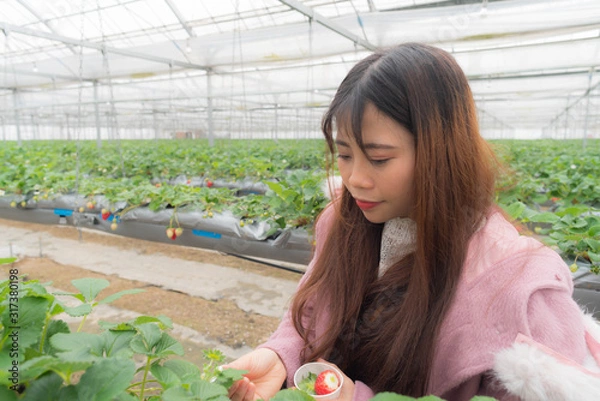 Fototapeta いちご狩りをしている若い女性