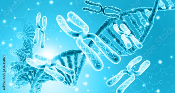 Obraz DNA. Chromosomes. Scientific background. 3d illustration.