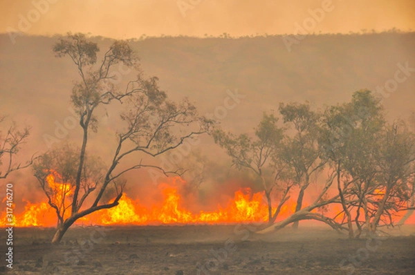Obraz Australian fires
