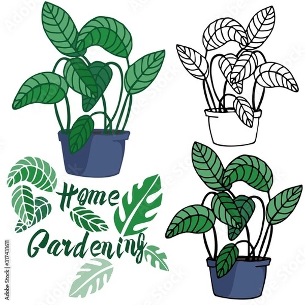 Fototapeta Vector illustration on the theme of home gardening. Homemade flower in a pot. Performed in different techniques, contour, stroke, color. Ideal for textile, paper, gift and web products.