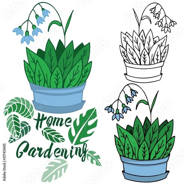 Fototapeta Vector illustration on the theme of home gardening. Homemade flower in a pot. Performed in different techniques, contour, stroke, color. Ideal for textile, paper, gift and web products.