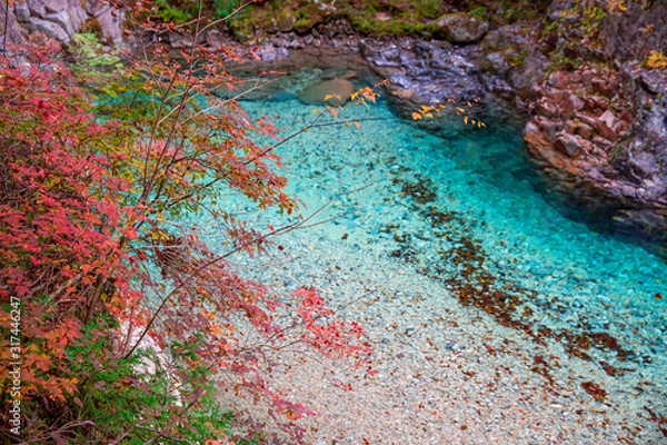 Fototapeta 紅葉の阿寺渓谷