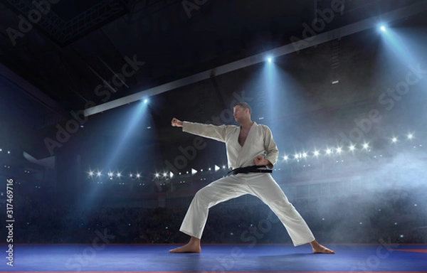 Fototapeta Karate fighters on tatami. Fighting Championship.