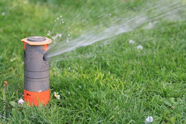 Obraz Ogród jest podlewany