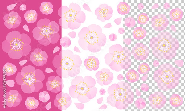 Fototapeta 透明感のある桜の花　ピンクや白の背景　ベクター