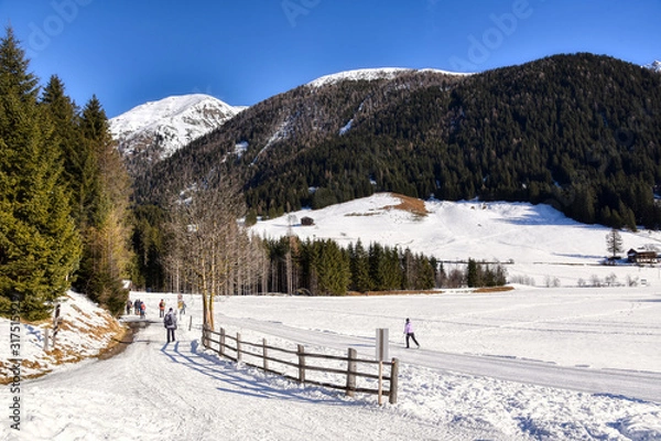 Obraz Towards the woods