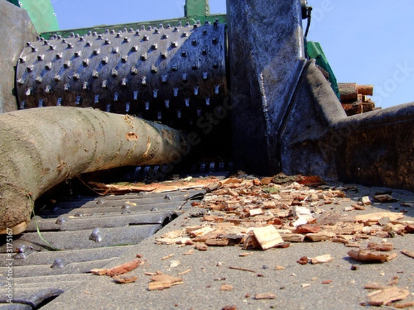 Obraz holz häcksler 2