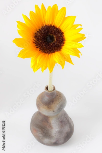 Obraz 向日葵と備前焼の一輪挿し