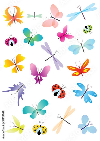 Fototapeta color vector butterflies set