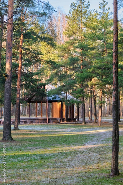 Fototapeta Wooden house stage for free musicians open air performances in pine forest in sunlight, in front of stage many benches covered with snow. Raising  culture of people, music for all, art theater in park