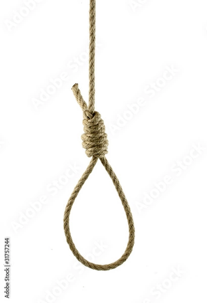 Obraz noose