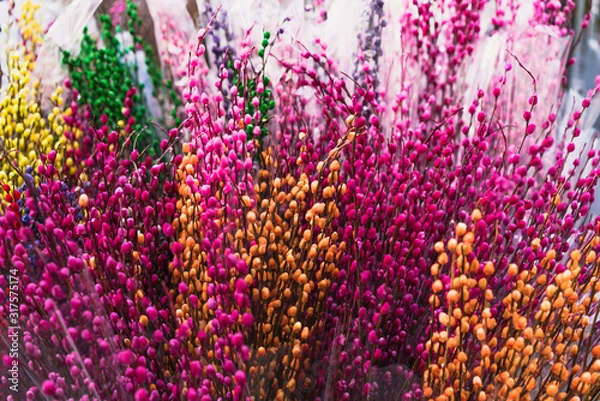 Obraz Flower Market in Mongkok, Chinese New Year celebration in Hong Kong