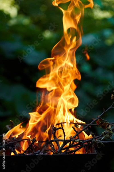 Obraz Fire flame texture on the green blurred background