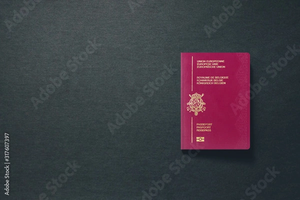 Fototapeta Belgium Passport on dark background with copy space - 3D Illustration