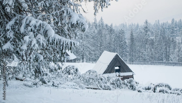 Obraz Beautiful white winter in mountains