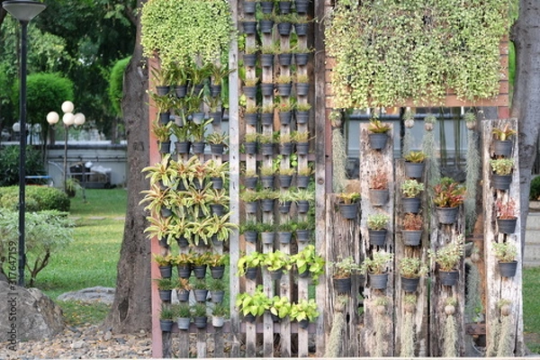 Fototapeta The idea of ​​decorating a Hanging garden in a small space that can be designed by yourself. This "Hanging garden" is decorated with many kinds of trees, looks charming and orderly.
