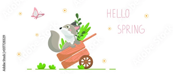 Obraz Vector flat illustration with cartoon fox. A gray fox sits in a garden cart and looks at a butterfly. Banner with the inscription: Hello Spring. Isolated on a white background.