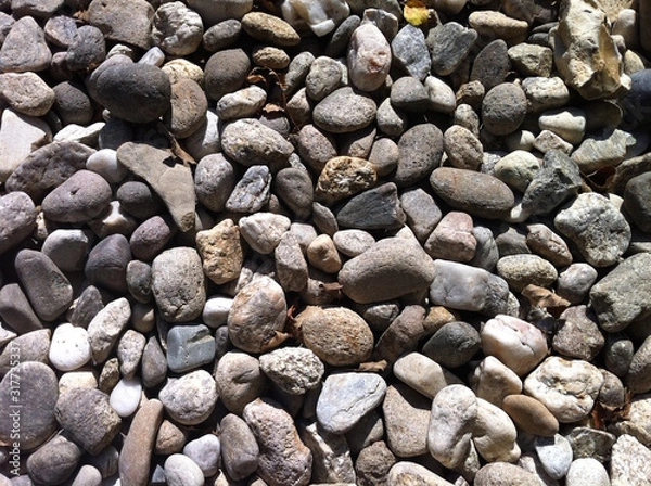 Fototapeta Kiesel