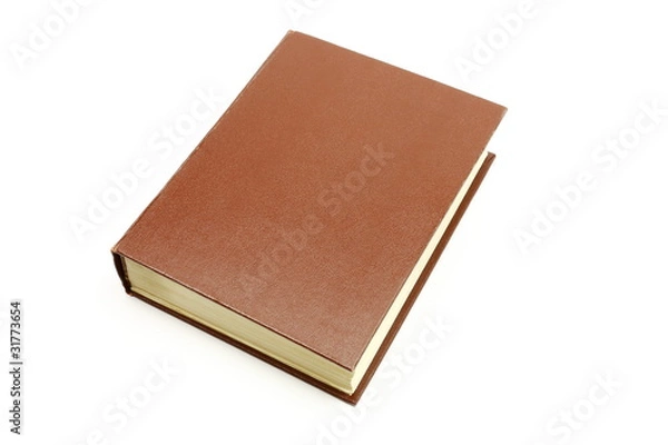 Obraz Red book on white background