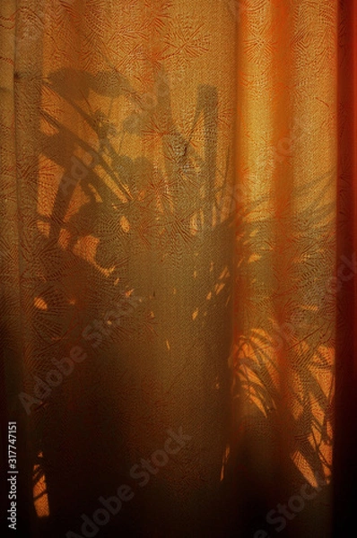 Obraz abstract bac 7