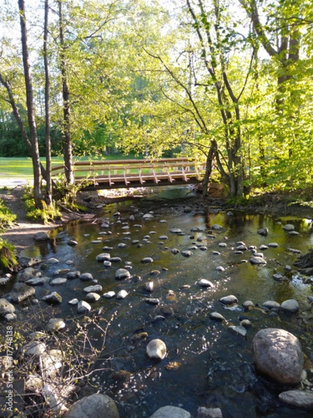 Obraz bridge in the park