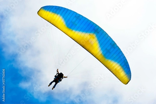Fototapeta Parachuter descending with instructor against blue sky
