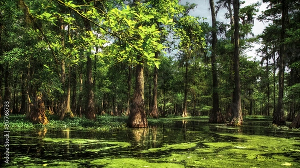 Obraz W samym sercu Bayou