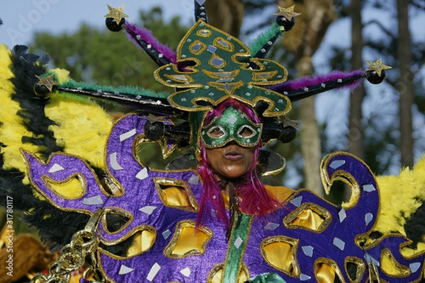 Fototapeta Grande parade du carnaval de Guyane