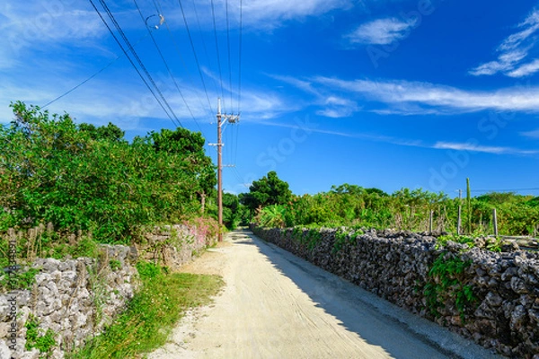 Fototapeta 竹富島　街並み