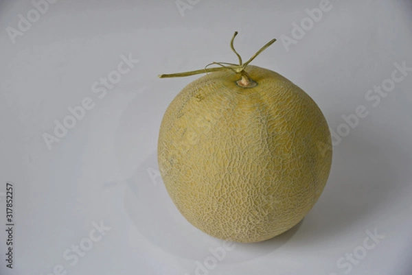 Fototapeta melon fruit on white ground