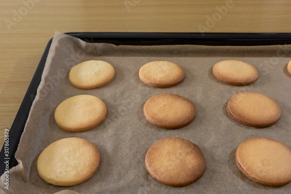 Fototapeta オーブンの天板に並んだ焼きたてのプレーンクッキー