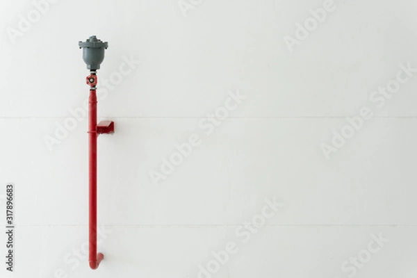 Obraz automatic air vent valve