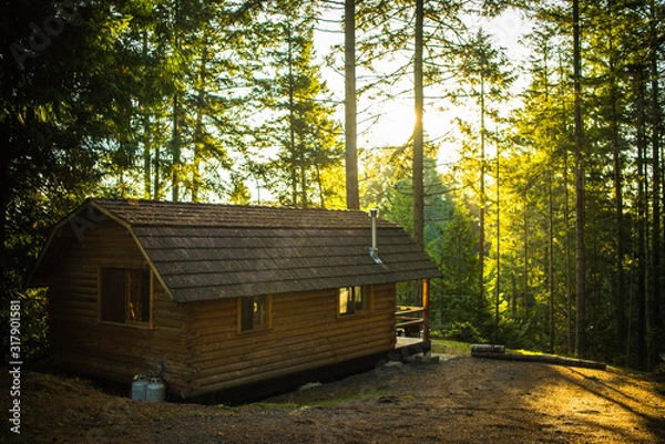 Obraz Beautiful cabin in the woods during sunrise in the middle of nowhere on private island in Canada Vancouver Island sunset 