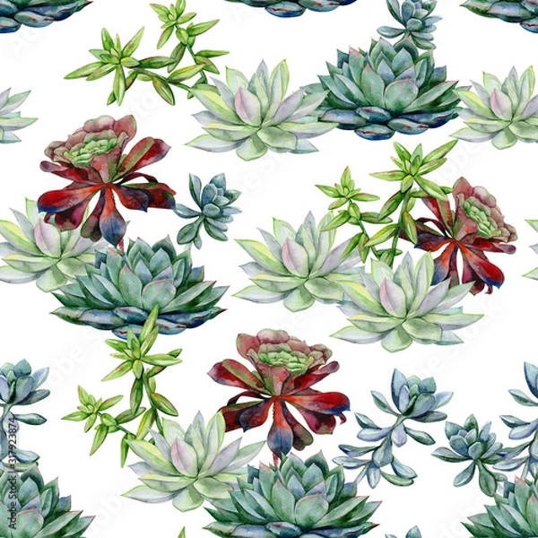 Obraz Succulents seamless pattern, echeveria illustration, botanical painting of dudleya and zwartkop. Stone rose. Sempervivum art. Watercolor elements for design of invitations, movie posters, fabrics.
