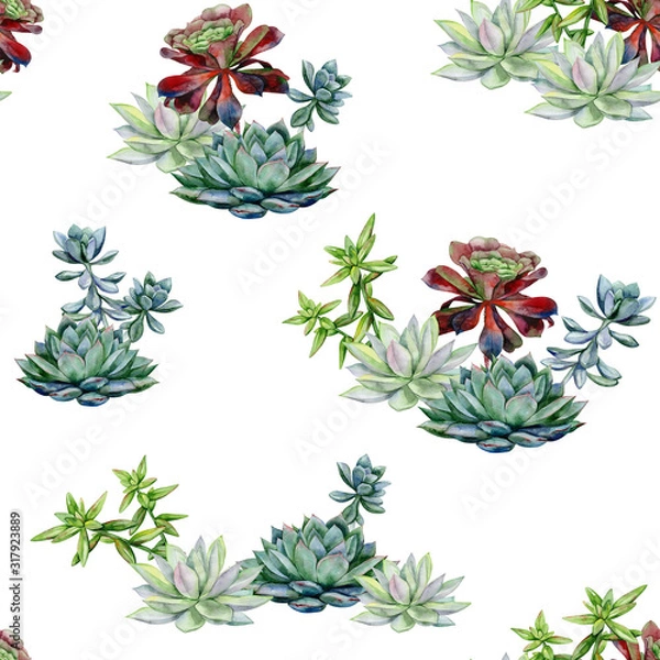 Obraz Succulents seamless pattern, echeveria illustration, botanical painting of dudleya and zwartkop. Stone rose. Sempervivum art. Watercolor elements for design of invitations, movie posters, fabrics.