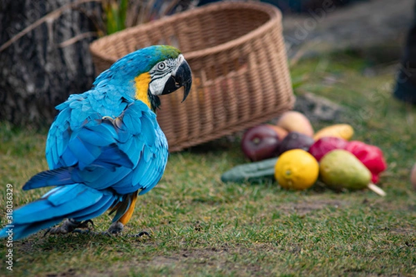 Obraz nachplappern 3.0