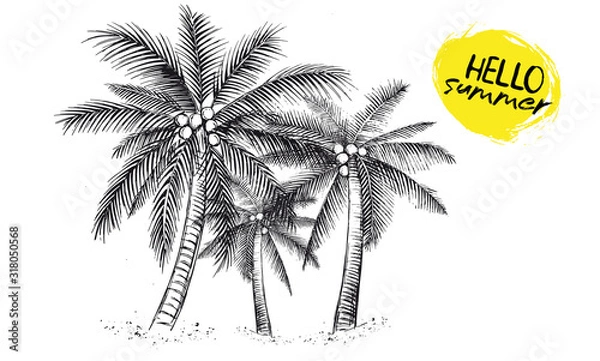 Fototapeta Hello Summer, palm tree. Hand drawn illustration.