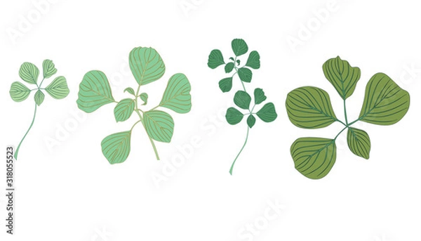 Fototapeta Gingko Leaf Vector Element Set Botanical Element Collection