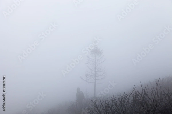 Fototapeta Soft view of a distant mountain hiker through the fog, hiking over the burned ground after a fire