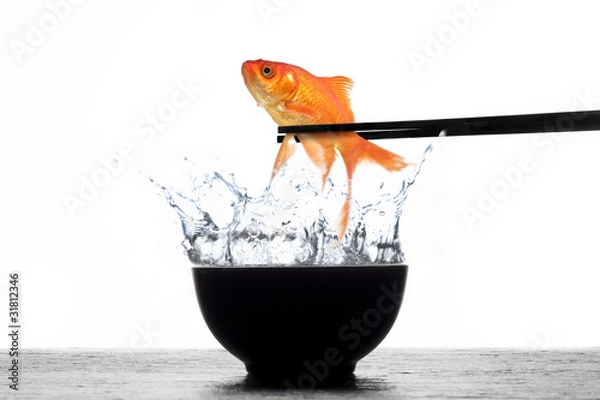 Obraz Fresh Goldfish Sushi