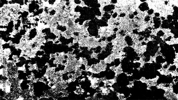 Obraz Grunge Texture. Black White Moss Pattern. Vector Illustration