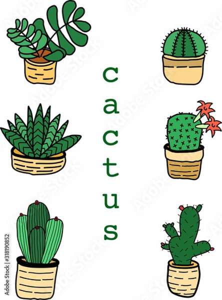 Fototapeta Flat green cactus design icon.