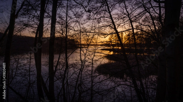 Fototapeta sunset on a lake through branches