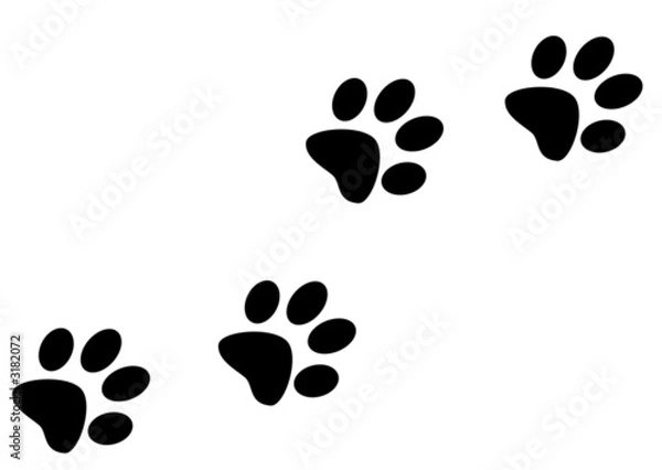 Obraz odciski palców