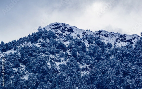 Obraz Snow capped mountains